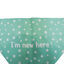 Gotoo Bandana estampada verde para perros, , large indicador imagen numero 4