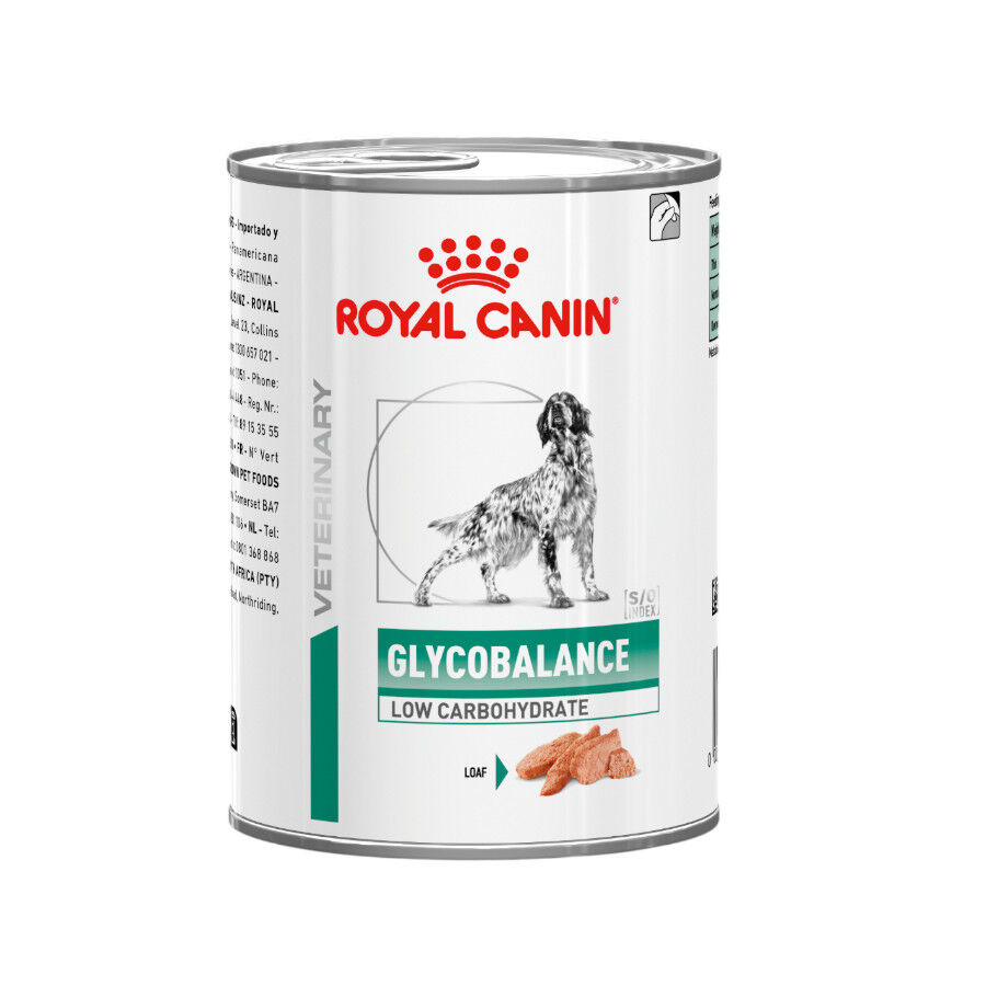 410 g Royal Canin Veterinary Diabetic latas para perros, , large Imagen numero 1