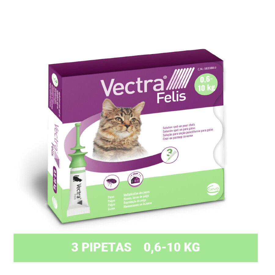 Vectra Felis Pipetas Antiparasitarias para gatos thumbnail