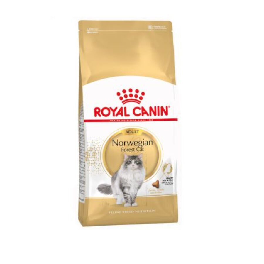 Royal Canin Adult Norwegian Forest pienso para gatos thumbnail