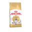 10 kg Royal Canin Adult Norwegian Forest pienso para gatos, , large indicador imagen numero 1