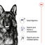 15 kg Royal Canin Maxi Adult 5+ pienso para perros senior de raza grande, , large indicador imagen numero 6