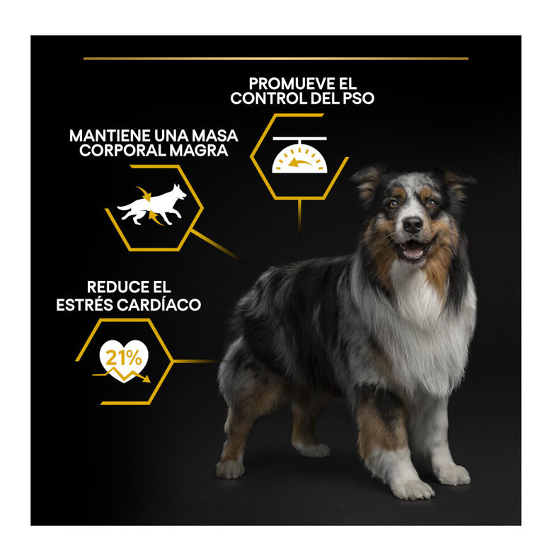 Pro Plan Adult Light/Sterilised Pollo pienso para perros thumbnail
