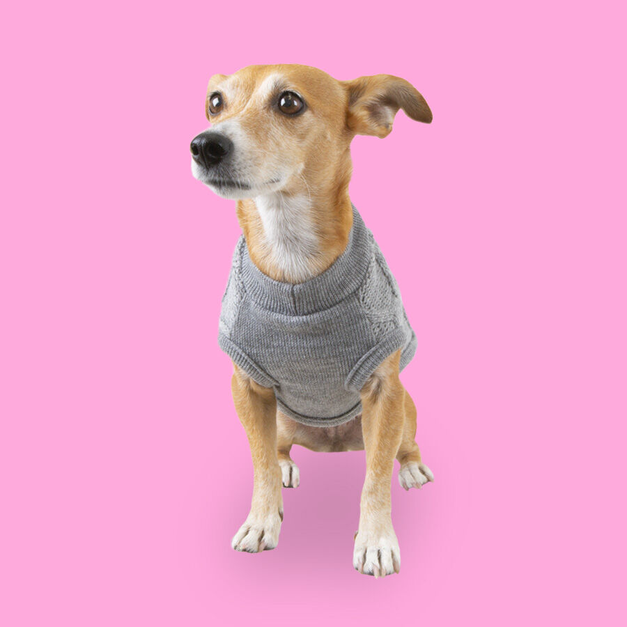 Outech Rombos Jersey de Punto Gris para perros thumbnail