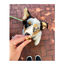 14 barritas Whimzees Puppy M/L Snacks Dentales Naturales para cachorros, , large indicador imagen numero 3