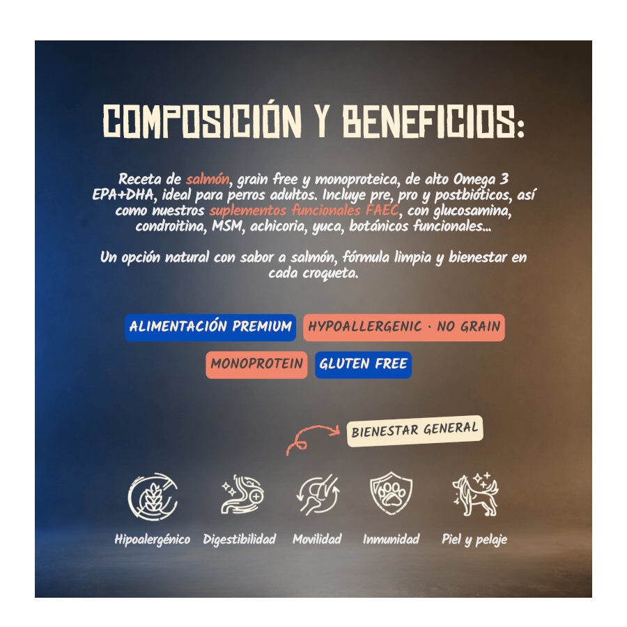 10 kg Lenda Grain Free Salm&oacute;n pienso para perros, , large Imagen numero 6