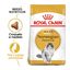 10 kg Royal Canin Adult Norwegian Forest pienso para gatos, , large indicador imagen numero 2