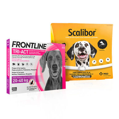 Scalibor Collar Antiparasitario 65 cm + Frontline Tri-Act Pipetas para perros grandes