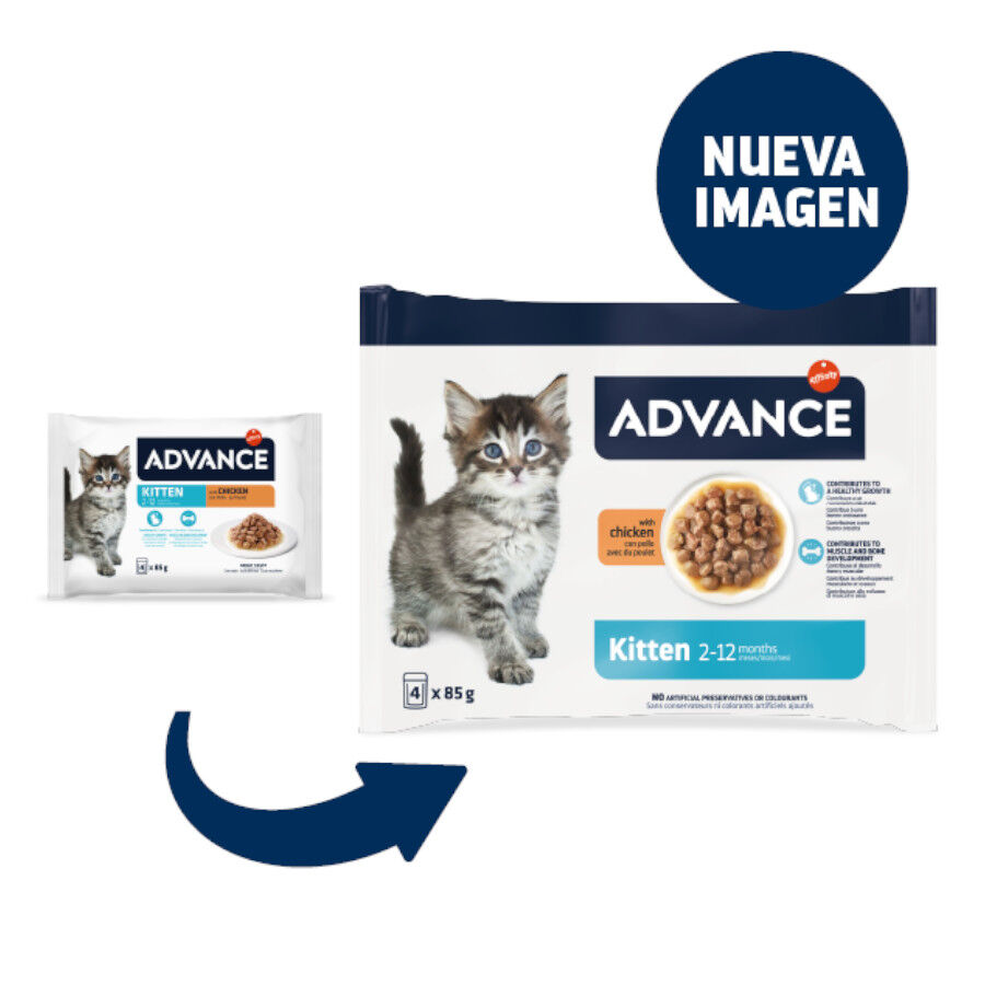 Advance Kitten Pollo en salsa sobre para gatitos thumbnail