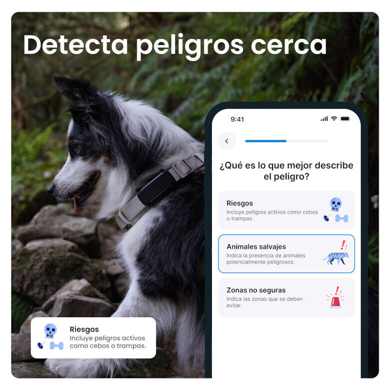 Tractive GPS Dog 6 Marrón Rastreador para perros thumbnail