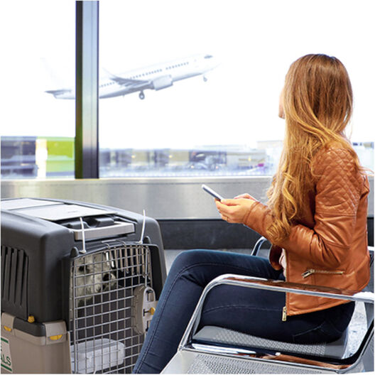 Stefanplast Gulliver 7 IATA Transportín para perros, , large image number null
