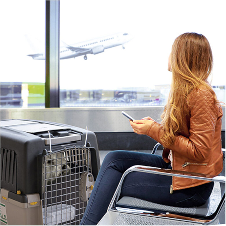 Stefanplast Gulliver 7 IATA Transportín para perros,  Imagen numero 3 Stefanplast Gulliver 7 IATA Transportín para perros, , large Imagen numero 3