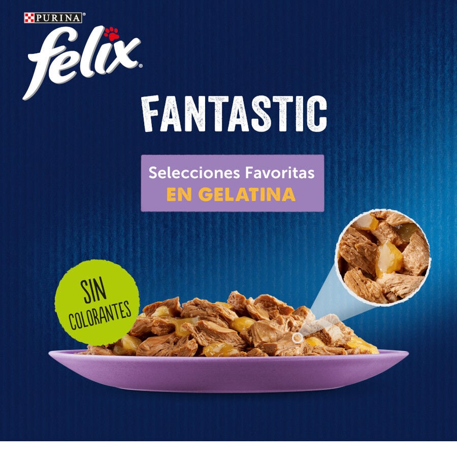 12 sobres x 85 g Felix Fantastic Selecciones Favoritas sobres en gelatina , , large Imagen numero 2