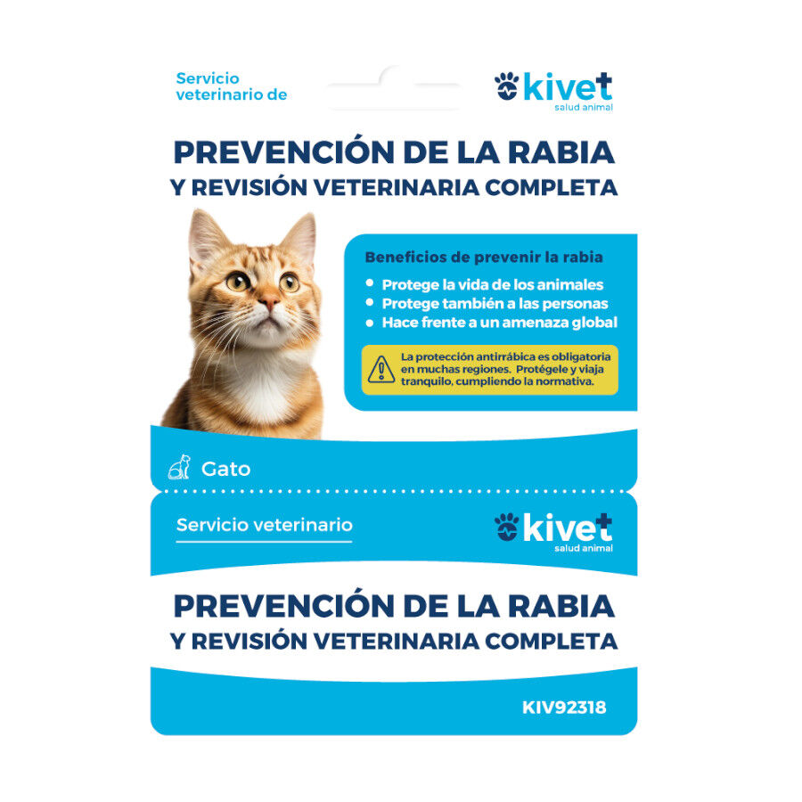 Tarjeta de prevención de la rabia + revisión veterinaria completa para gato