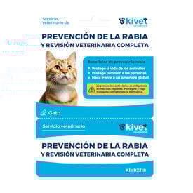 Tarjeta de prevención de la rabia + revisión veterinaria completa para gato