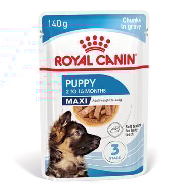 Royal Canin Húmedo Maxi Puppy sobre para perros