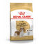 Royal Canin Adult Cavalier King Charles pienso para perros, , large indicador imagen numero 1