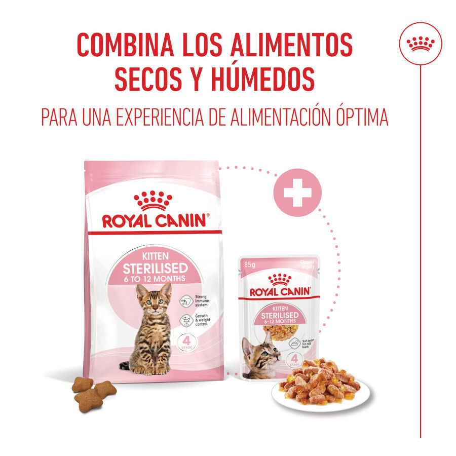 Royal Canin Kitten Sterilised gelatina para gatos thumbnail
