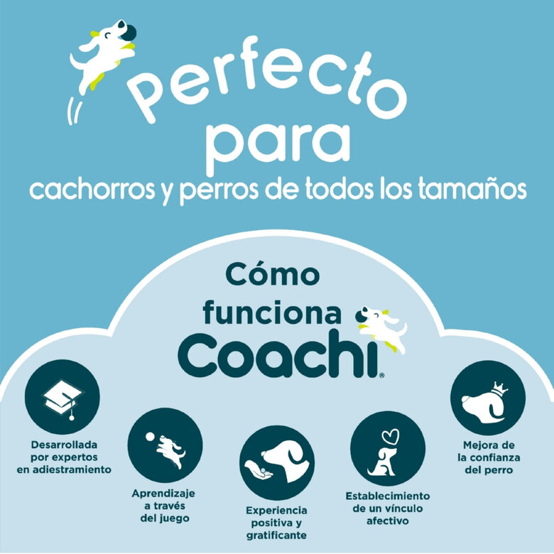 Coachi Training Line Correa de Adiestramiento para perros,  Imagen numero 8 Coachi Training Line Correa de Adiestramiento para perros, , large Imagen numero 8