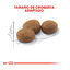 12 kg (10 + 2 kg ¡gratis!) Royal Canin Regular Sterilised 37 pienso para gatos, , large indicador imagen numero 3