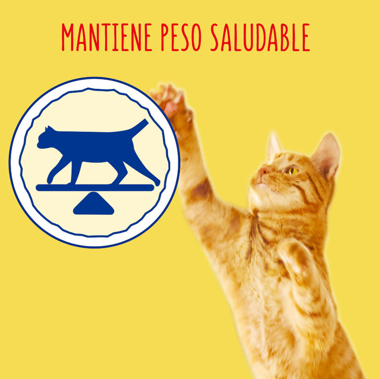 Friskies Sterilized Pollo y Pavo con Verduras pienso para gatos thumbnail