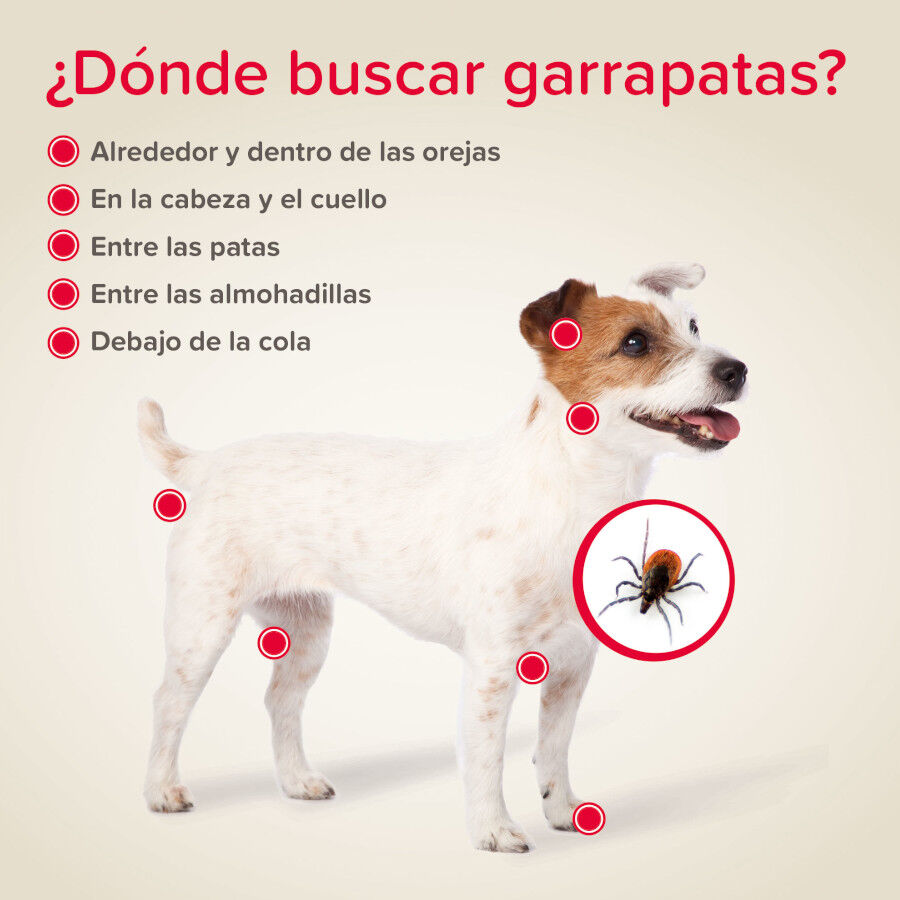 Beaphar Canishield Collar Antiparasitario para perros thumbnail
