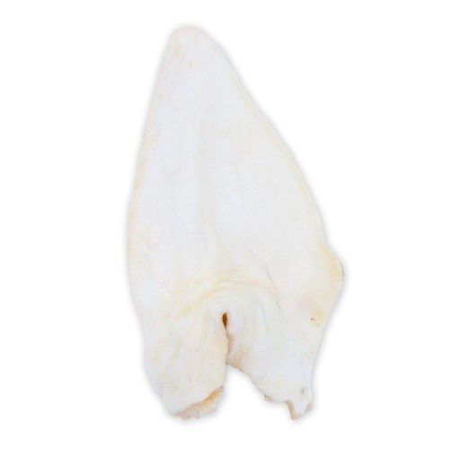 Criadores snack Oreja de b&uacute;falo para perros Imagen numero 1