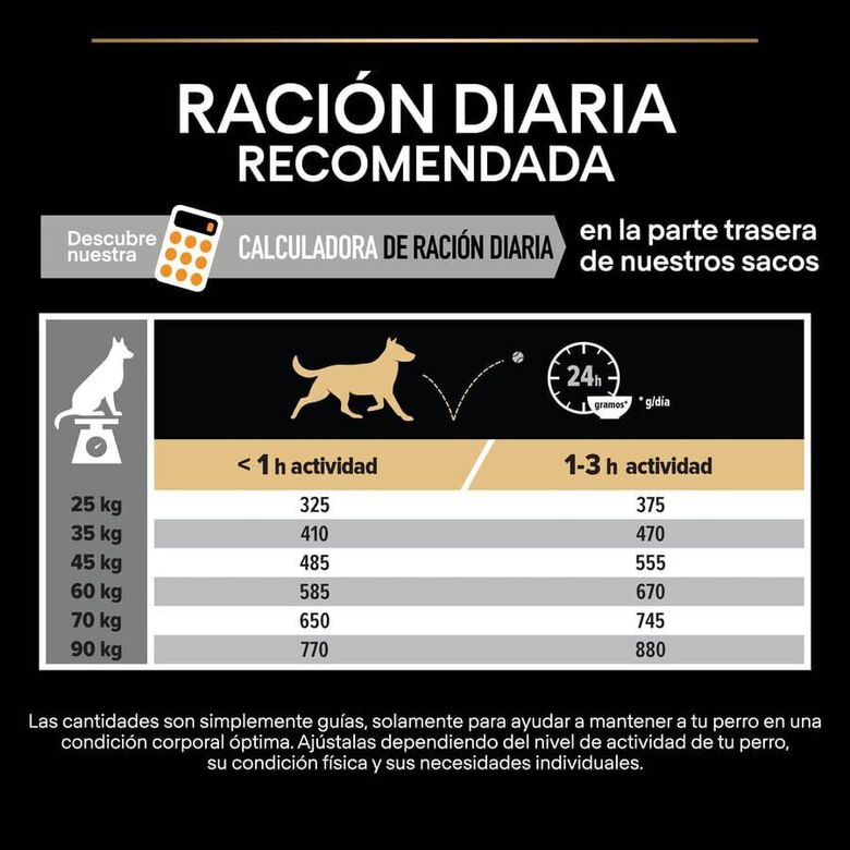 Pro Plan Large Robust Adult pienso para perros thumbnail
