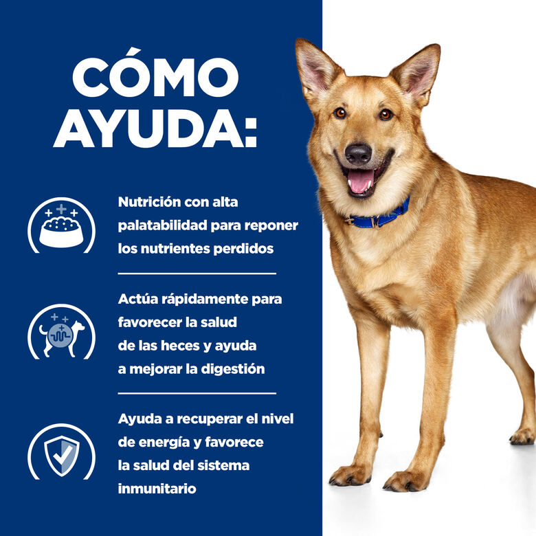 Hill&#039;s Prescription Diet Digestive Care i/d Perros Pavo lata thumbnail