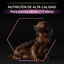 Pro Plan Adult Small y Mini Pollo pienso para perros Sénior +9, , large indicador imagen numero 8