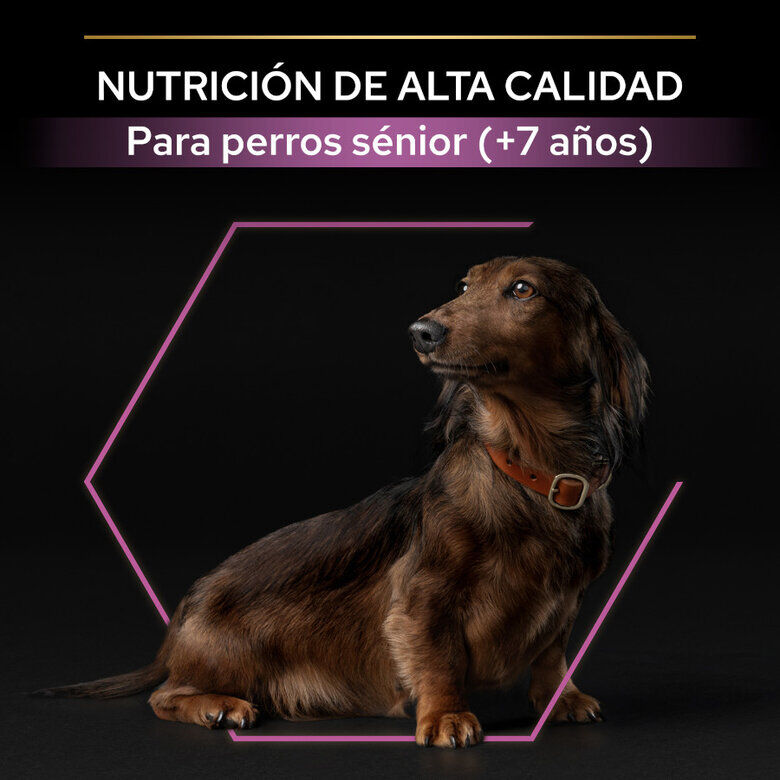 Pro Plan Adult Small y Mini Pollo pienso para perros Sénior +9 thumbnail