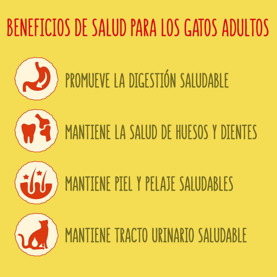 Friskies Adult Buey con Pollo y Verduras pienso para gatos thumbnail