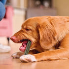 Beaphar Sticks Dentales para perros medianos y grandes., , large image number null