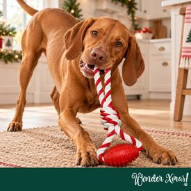 Wonder Christmas Hueso con Cuerda Juguete para perros