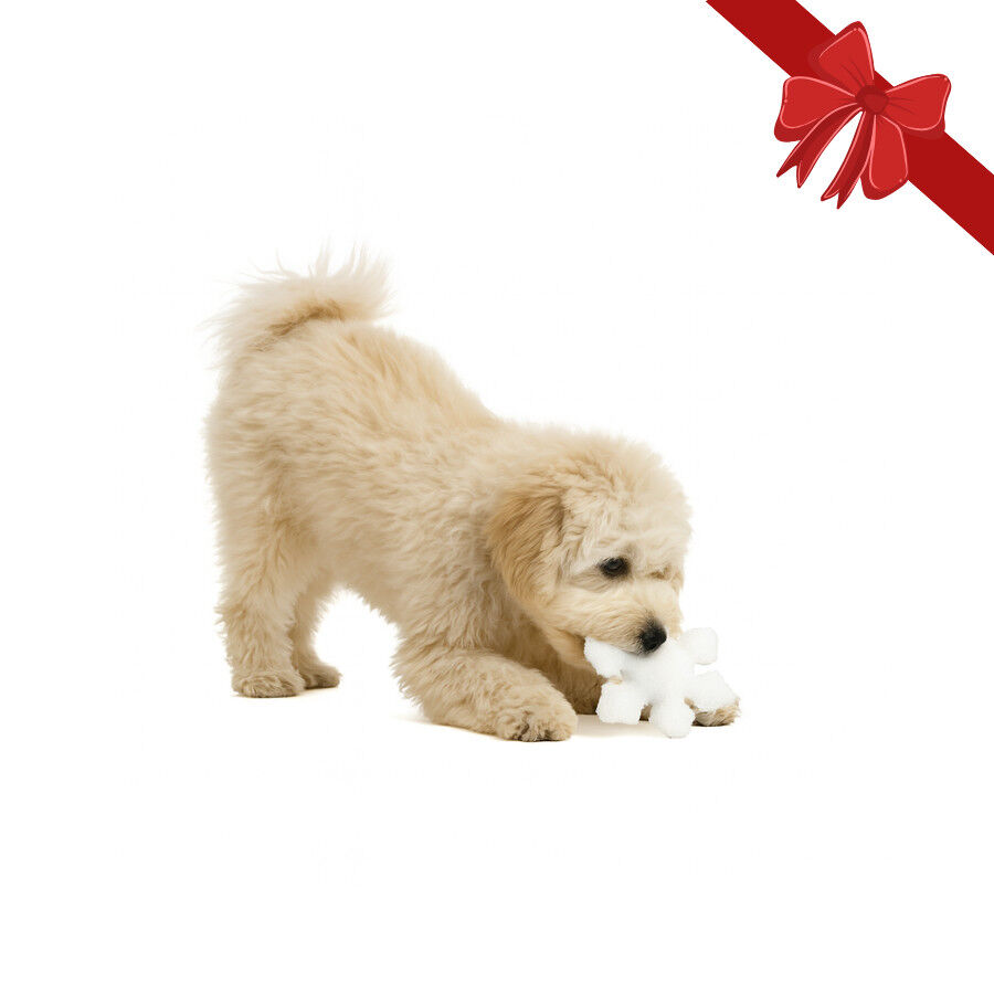 Wonder Christmas Peluche Copo de Nieve Navideño para perros