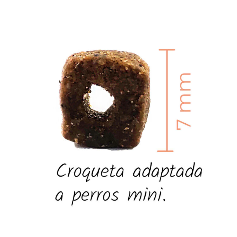 Lenda Original Mini Adult Atlantic Blue Fish pienso para perros thumbnail