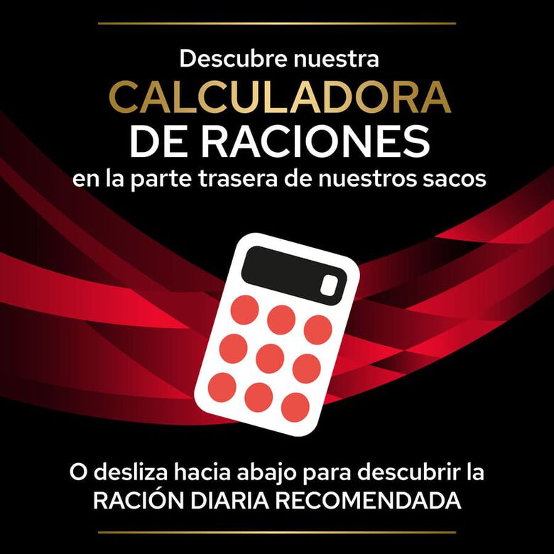 Pro Plan Veterinary Diets Diabetes Management pienso para gatos thumbnail
