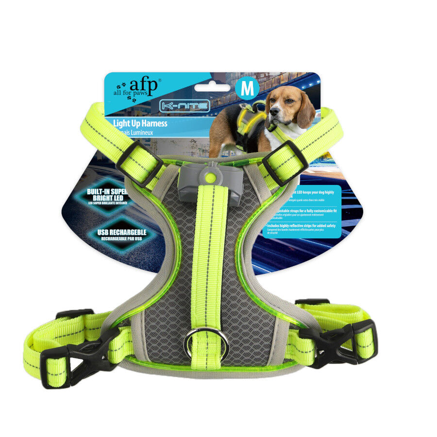 All For Paws K-Nite Arnés con Luz para perros thumbnail