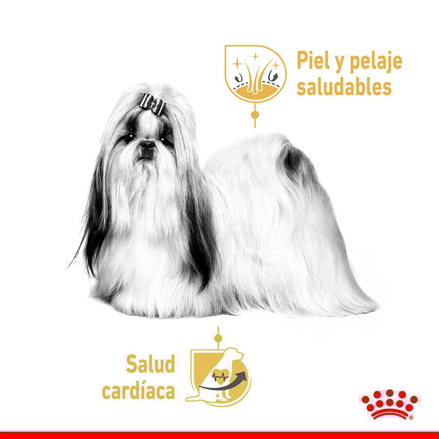 Royal Canin Adult Shih Tzu Paté sobre para perros thumbnail