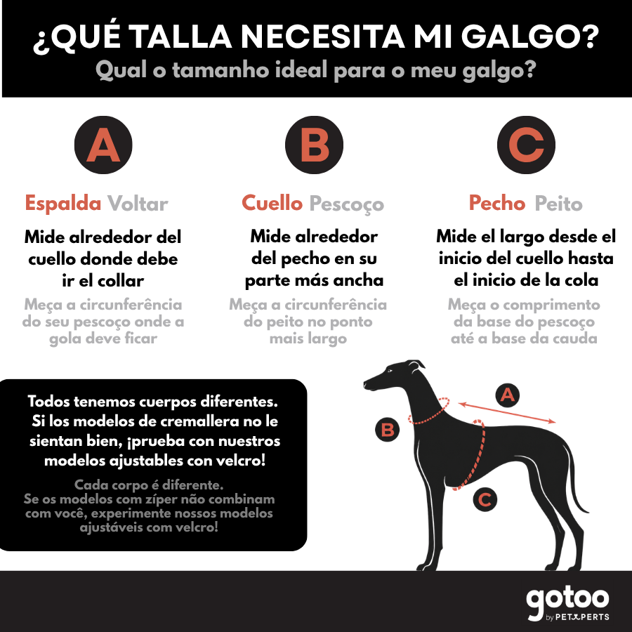 Gotoo Sudadera Gris para galgos, , large Imagen numero 8