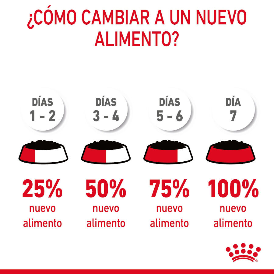 Royal Canin Hairball Care Sobre en Gelatina para gatos thumbnail