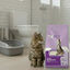 10 L TK-Pet Arena Aglomerante Bentonita y Lavanda para gatos, , large indicador imagen numero 2