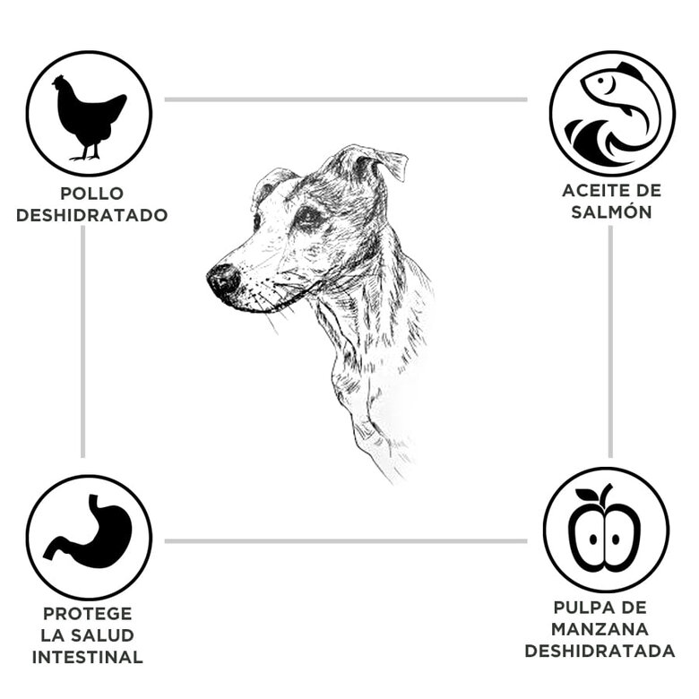 3 kg Criadores Adulto Pollo y Arroz pienso para perros de raza mediana,  Imagen numero 2 3 kg Criadores Adulto Pollo y Arroz pienso para perros de raza mediana, , large Imagen numero 2