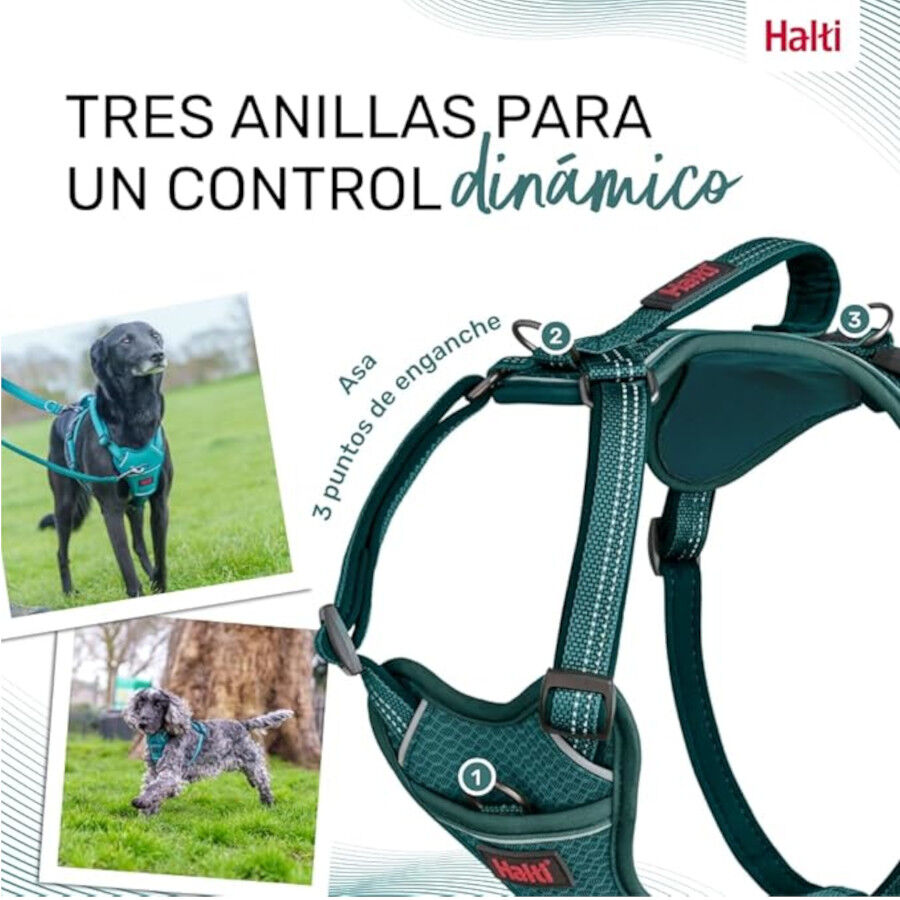 Halti arn&eacute;s anat&oacute;mico con asa azul verdoso para perros, , large Imagen numero 4