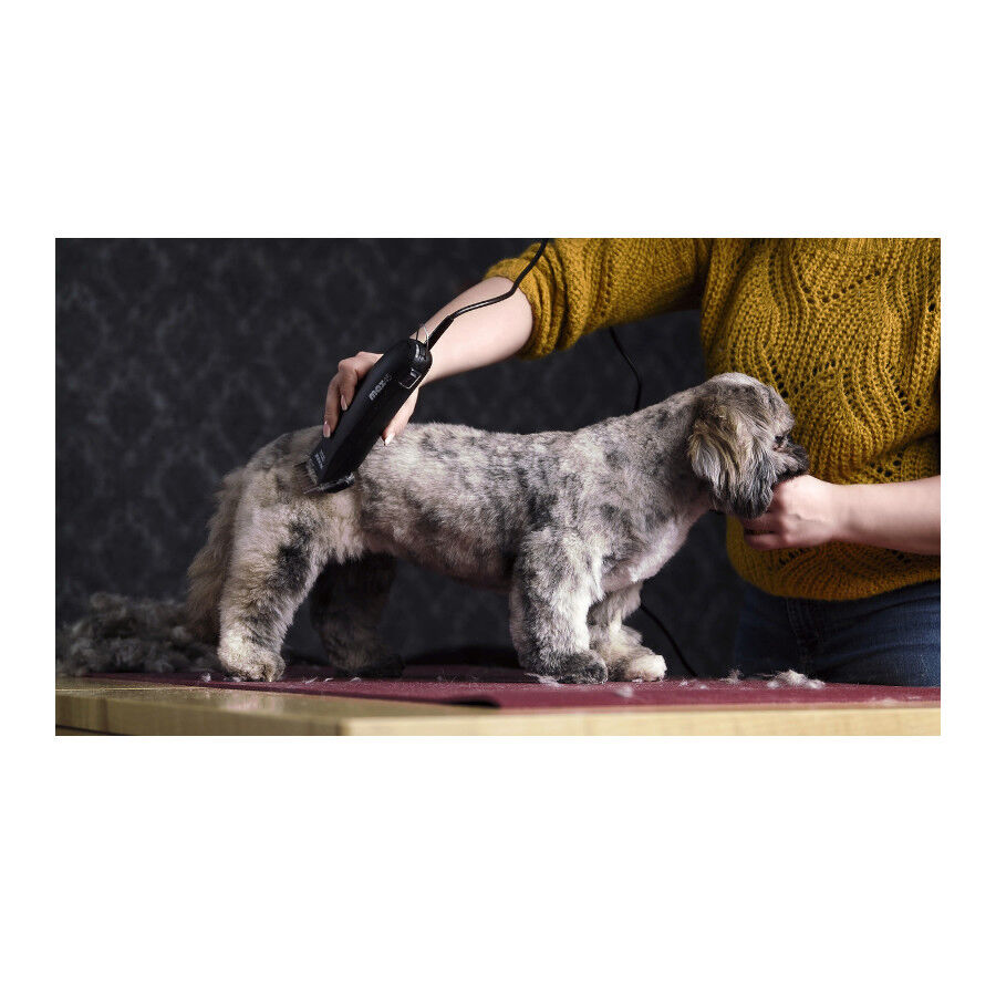 Maquina de pelar on sale perros moser