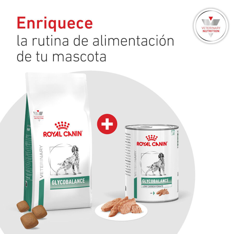 410 g Royal Canin Veterinary Diabetic latas para perros, , large Imagen numero 8