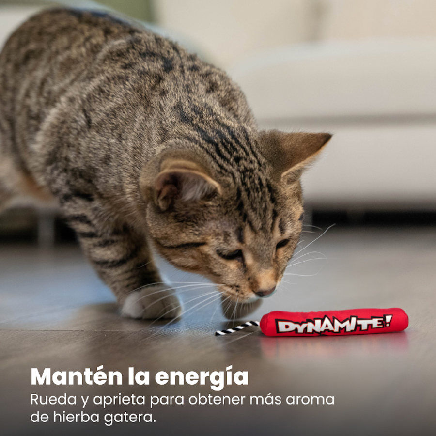 Catstages Green Magic Dynamite Rojo Peluche para gatos thumbnail