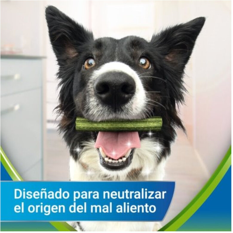 Dentalife Snacks Dentales Medium ActivFresh para perros, , large image number null