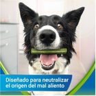 Dentalife Snacks Dentales Medium ActivFresh para perros, , large image number null