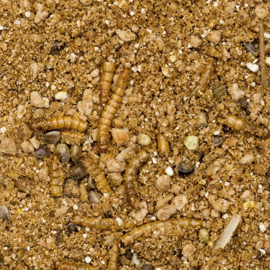 Beaphar Comida para erizos, , large Imagen numero 2